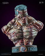 Frankenstein Creature bust with grey hair and riveted iron plates, front three-quarter view | Studio Everart